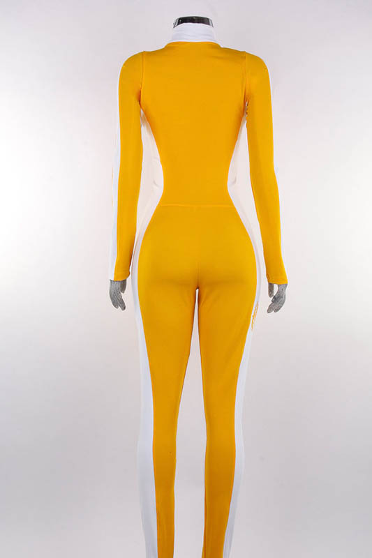 Foto proyecto WD-BODY83