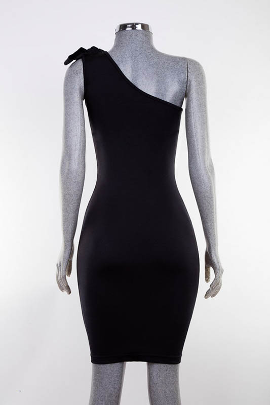 Foto proyecto WD-DRESS0119